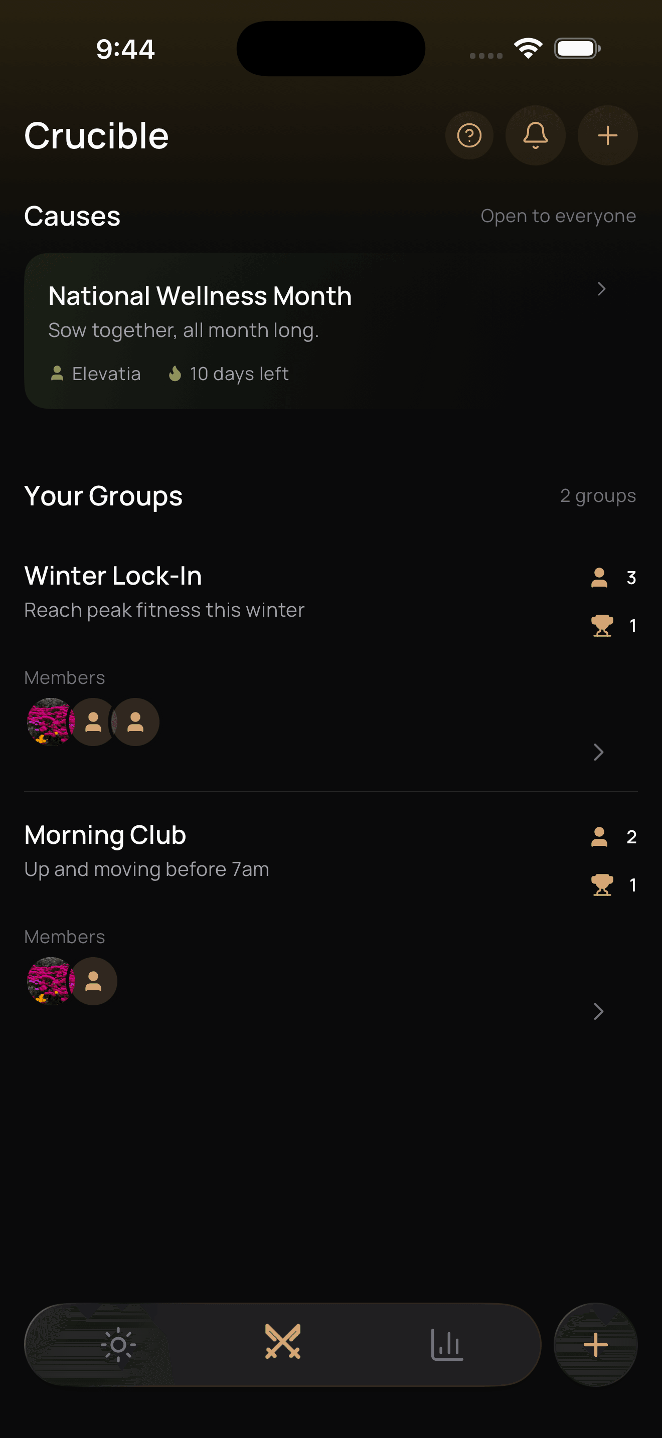 Elevatia Crucible groups and competitions